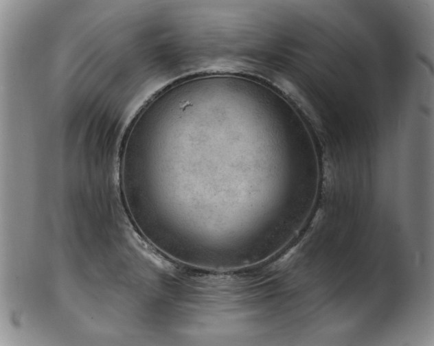 X0000102461232200808081220