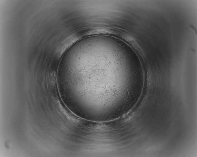 X0000102461233200808081220