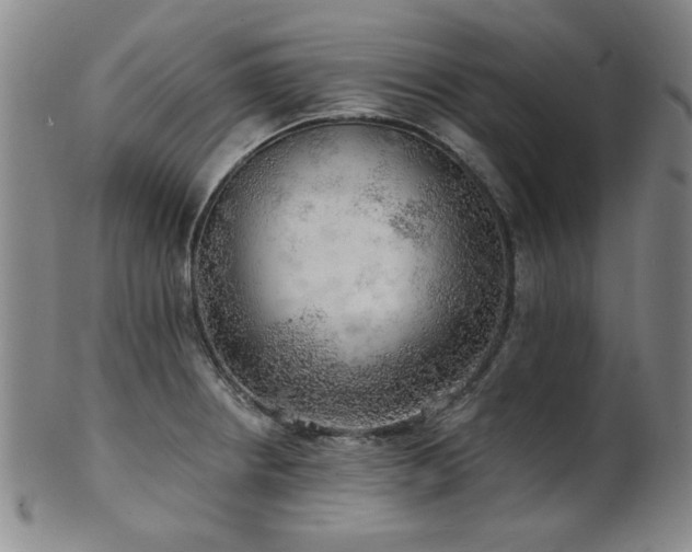 X0000102461234200808081220