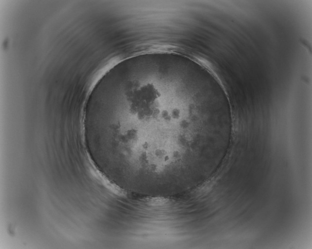 X0000102461235200808081220