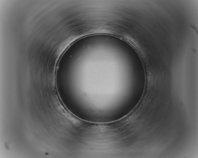 X0000102461236200808081220