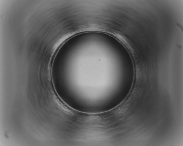 X0000102461238200808081220
