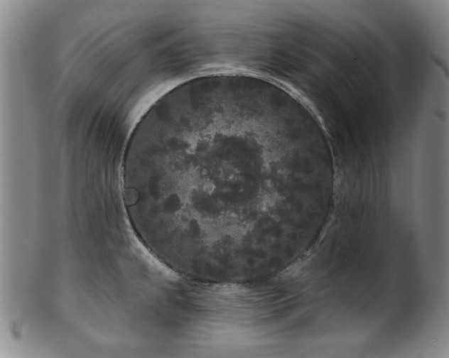 X0000102461239200808081220