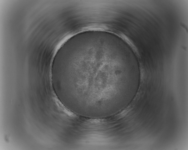 X0000102461240200808081220