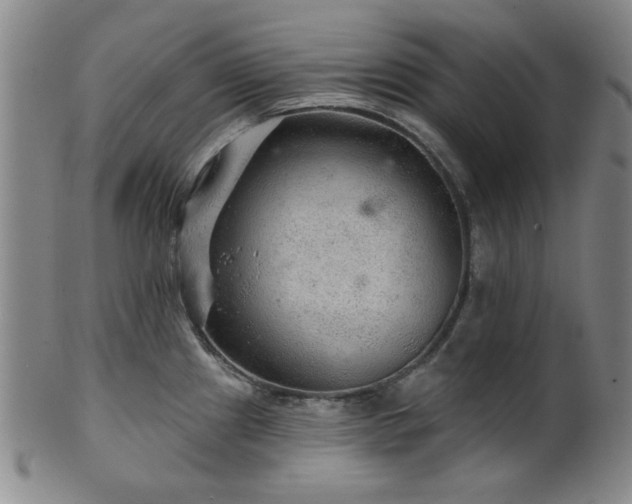 X0000102461241200808081220