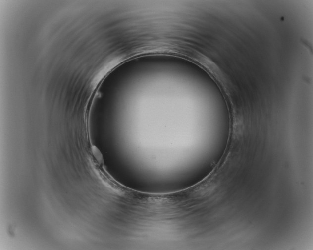 X0000102461242200808081220