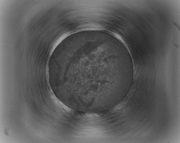 X0000102461243200808081220
