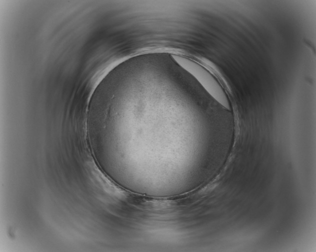 X0000102461244200808081220
