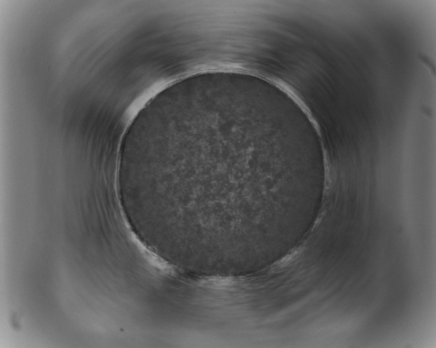 X0000102461245200808081220