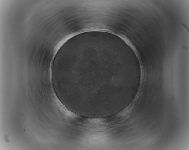 X0000102461246200808081220