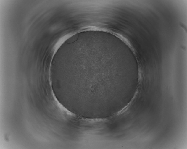 X0000102461247200808081220