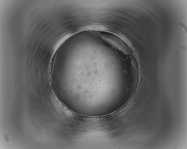 X0000102461248200808081220