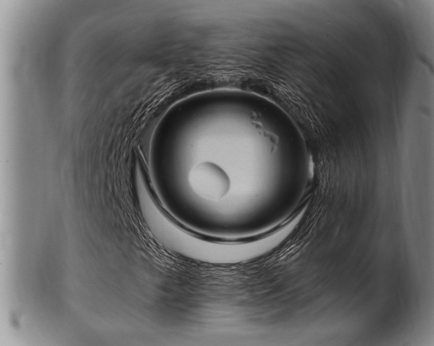 X0000102461249200808081220