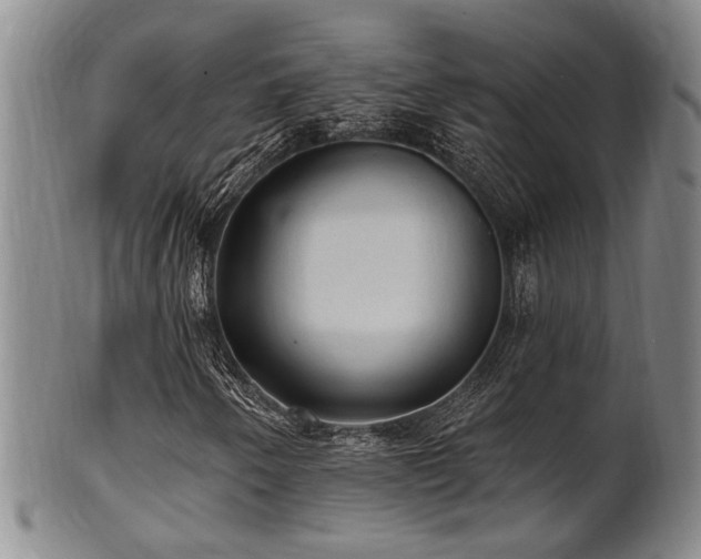 X0000102461250200808081220
