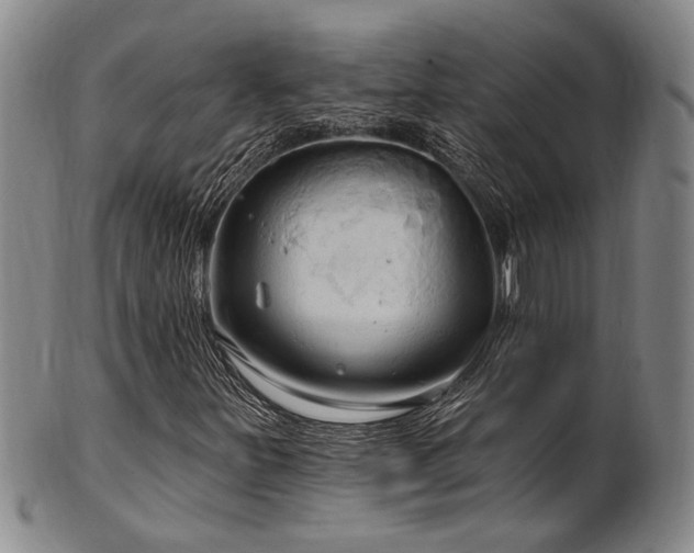 X0000102461251200808081220
