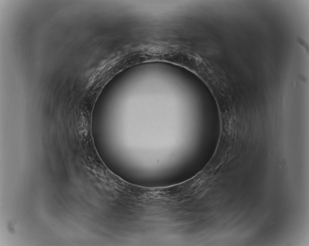 X0000102461253200808081220