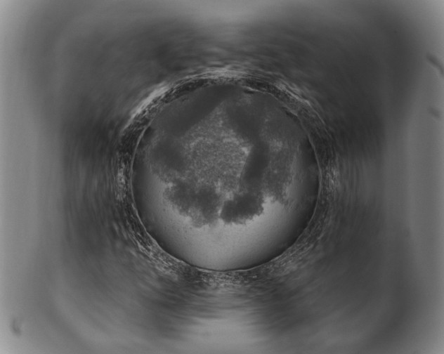 X0000102461254200808081220
