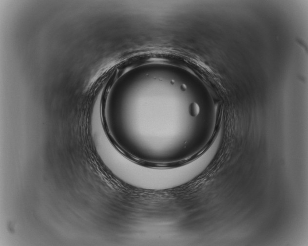 X0000102461255200808081220