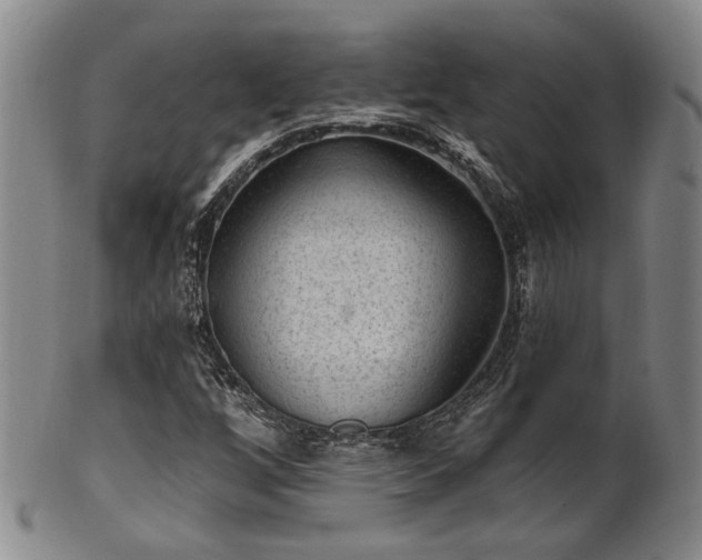 X0000102461256200808081220
