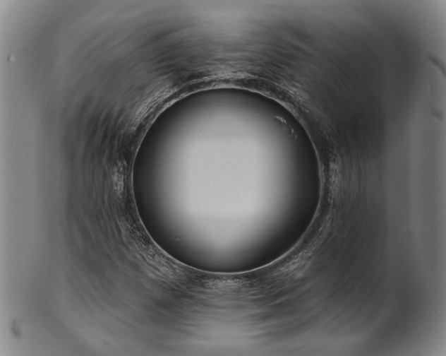 X0000102461257200808081220