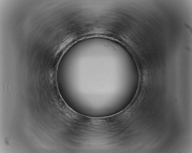 X0000102461258200808081220