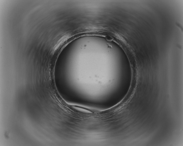 X0000102461259200808081219