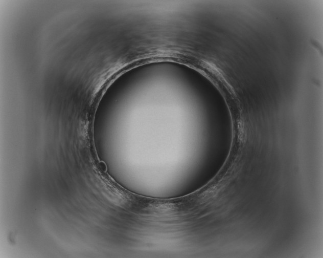 X0000102461260200808081219
