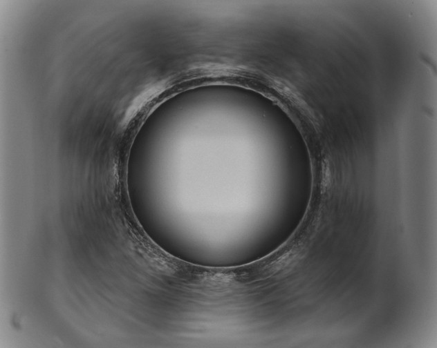 X0000102461261200808081219