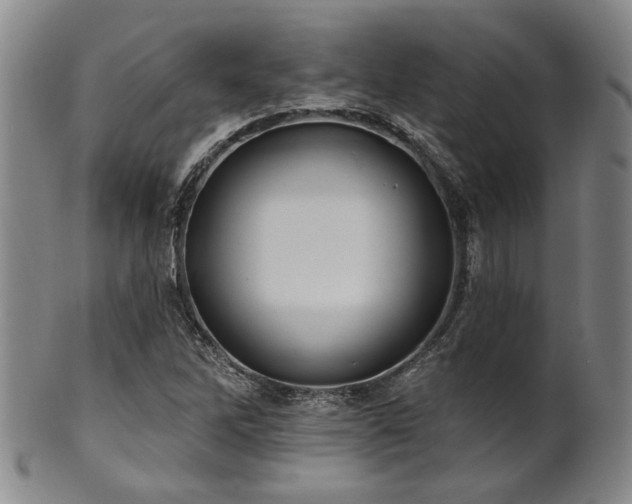 X0000102461262200808081219