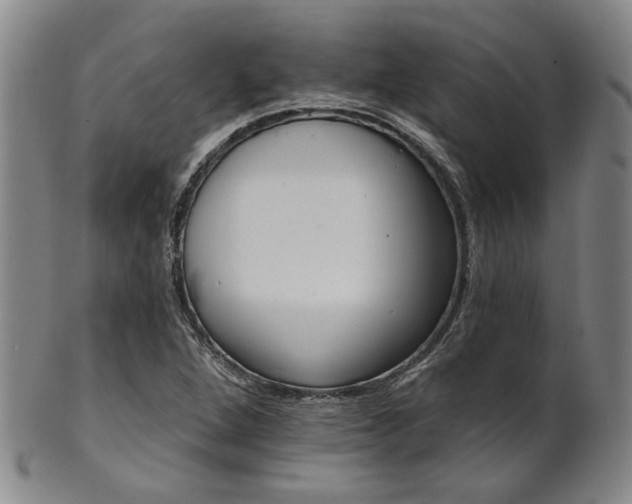 X0000102461264200808081219