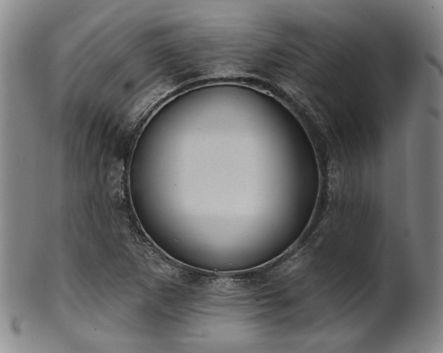 X0000102461265200808081219