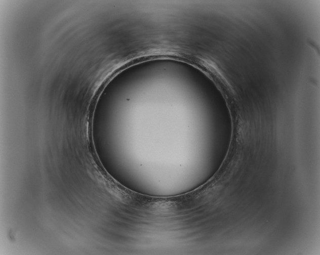 X0000102461268200808081219
