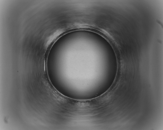 X0000102461269200808081219