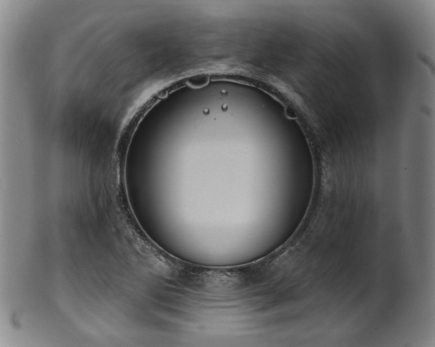 X0000102461270200808081219