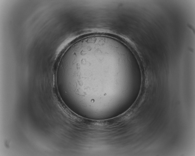 X0000102461271200808081219