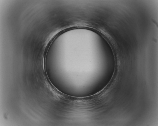 X0000102461272200808081219