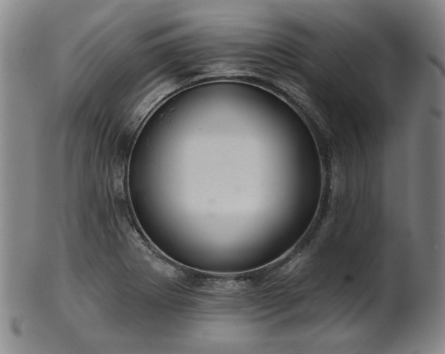 X0000102461273200808081219