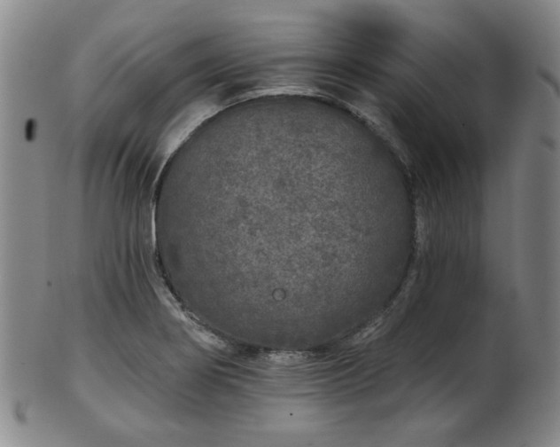 X0000102461274200808081219