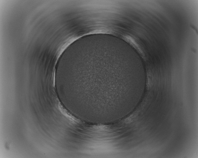 X0000102461276200808081219