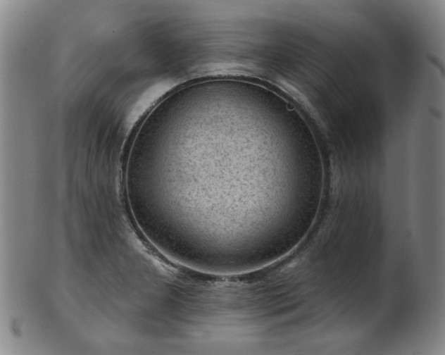 X0000102461277200808081219