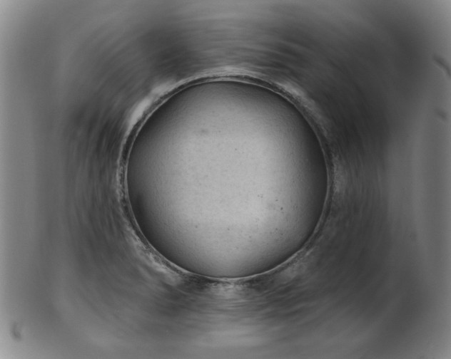 X0000102461278200808081219