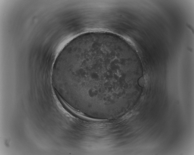 X0000102461279200808081219