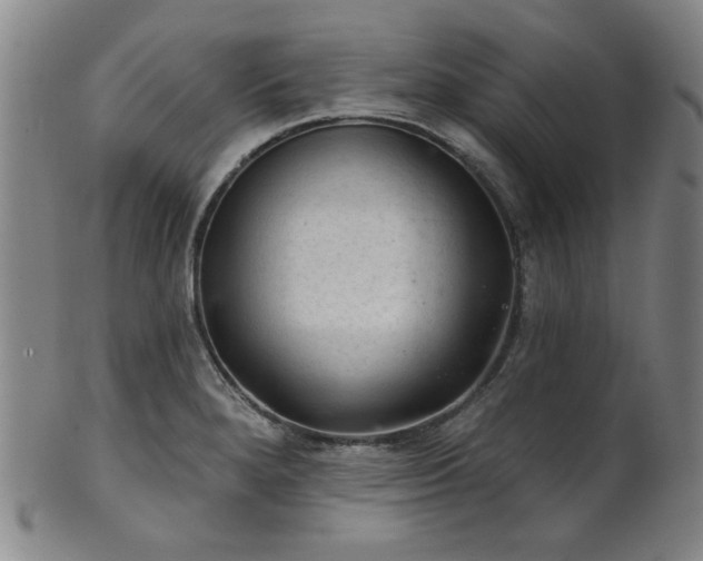 X0000102461280200808081219