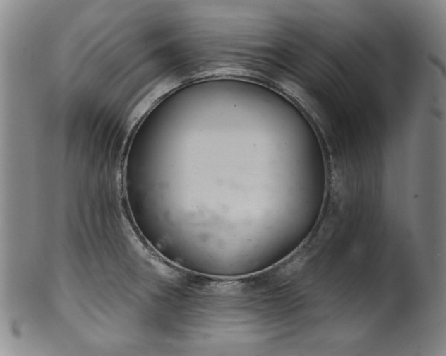 X0000102461282200808081219