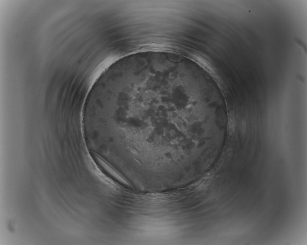 X0000102461283200808081219