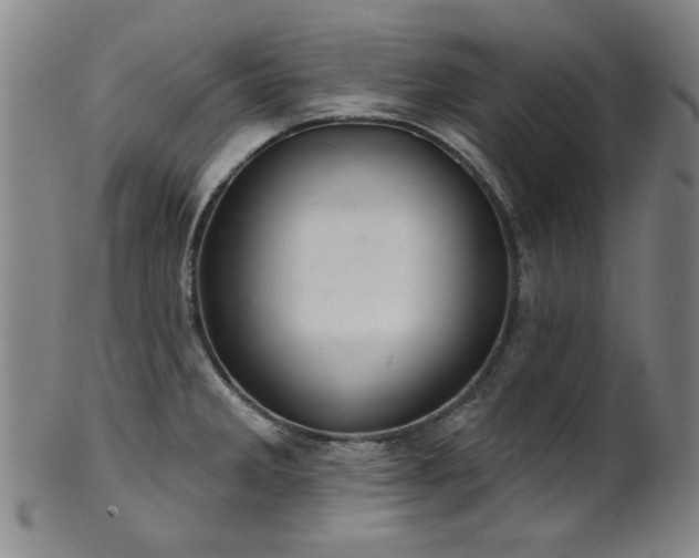 X0000102461285200808081219