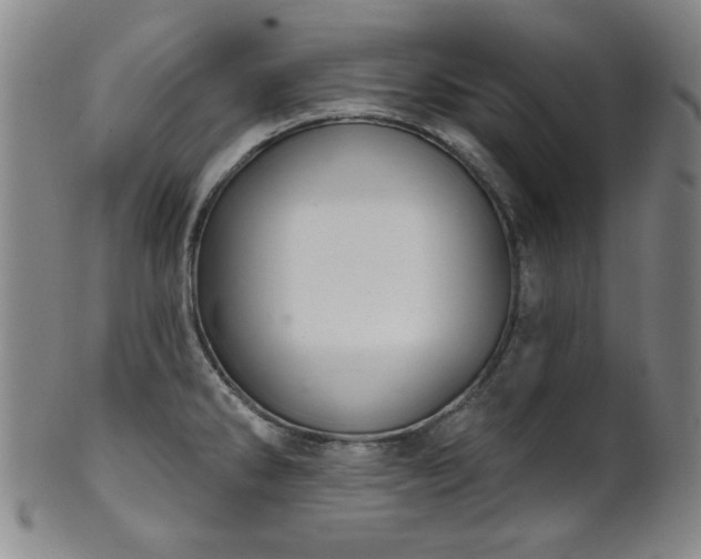 X0000102461286200808081219