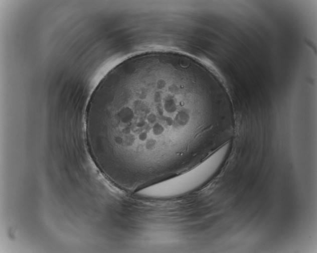 X0000102461287200808081219