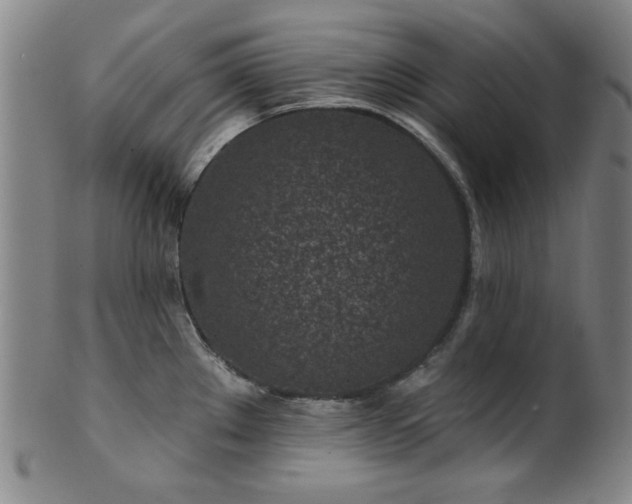 X0000102461289200808081219