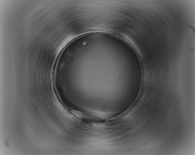 X0000102461291200808081219